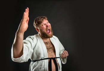 Fat karate fighter © Nomad_Soul
