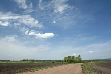 Naklejka premium Summer landscape