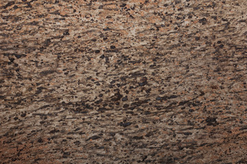 surface texture of tree bark as background