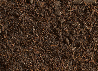 Peat soil texture background