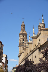 Fototapeta na wymiar Concatedral de logroño