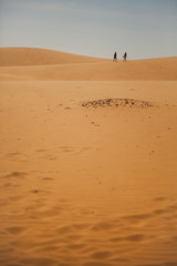Fototapeta na wymiar The traveler in the desert