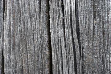 Old wooden surface in the garden.