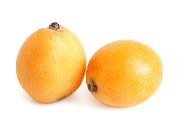 Loquat medlar