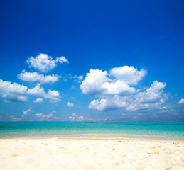 Obraz premium tropical sea