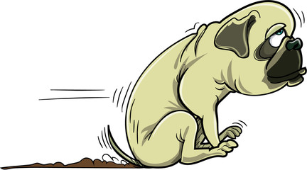 Obraz premium Cartoon pug dog scraping its bum