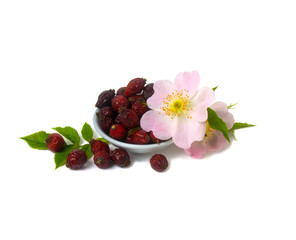 Dried berries and flowers of wild rose isolated on white backgro