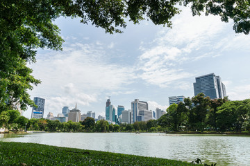 Fototapeta premium relaxation with green trees in the park, Bangkok Thailand