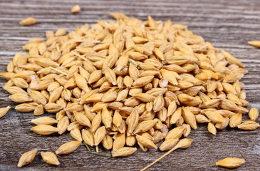 Heap of barley grain on wooden background