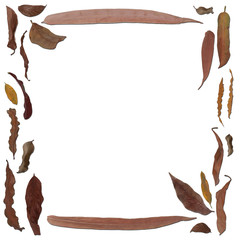 Dry leaves frame isolated on white background