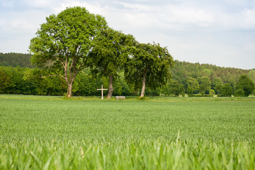 Wooden cross with tree trees in a green field.