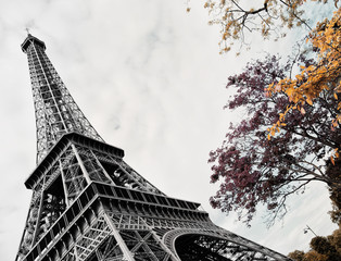 Plakat Eiffel tower