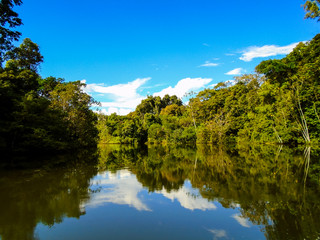 Amazon river