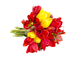 red and yellow tulips