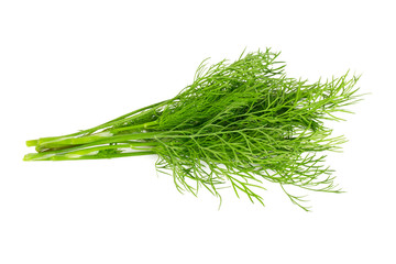 fresh dill isolated on white
