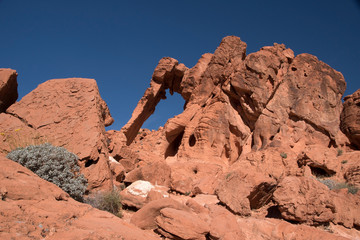 Fototapeta premium Valley of Fire, Nevada, USA