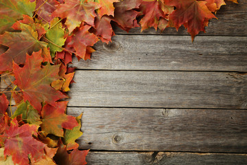 Naklejka na ściany i meble Autumn leafs frame on grey wooden background