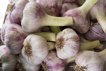 Fresh garlic
