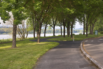 Fototapeta na wymiar Winding pedestrian path in a park.
