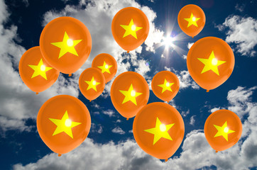 Plakat many balloons with vietnam flag on sky