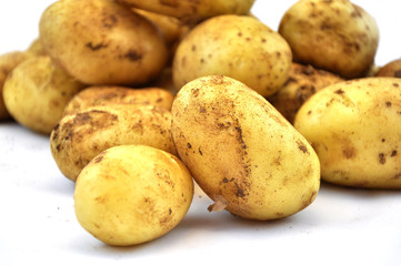 Potato