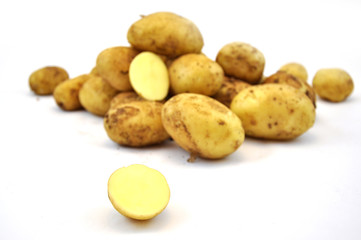 Potato