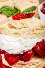 Strawberry dessert with whipped cream