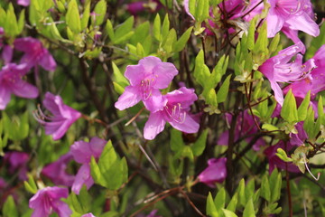 大阪　長居公園
