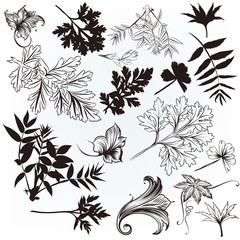 vector hand drawn leafs