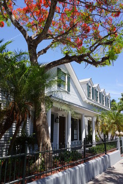 typische Architektur in Key West