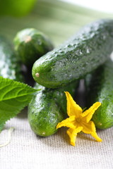 Cucumbers for your health food
