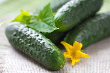 Cucumbers for your health food
