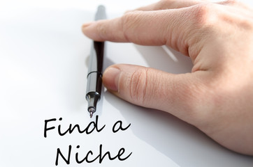 Find a Niche Concept