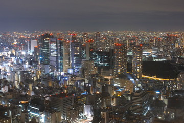 Fototapeta na wymiar Tokyo Tower 1