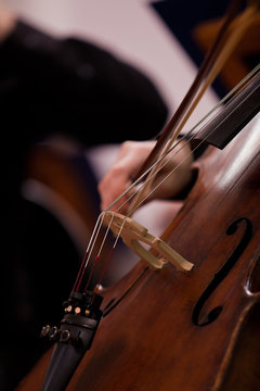 Fragment of the cello in the orchestra in dark colors 