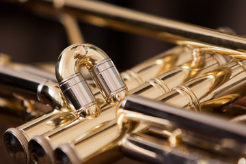 Obraz na płótnie Canvas Trumpet segment closeup