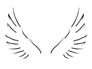 Wings
