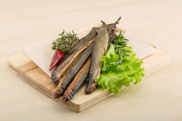 Lamprey