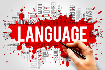 LANGUAGE word cloud, education business concept