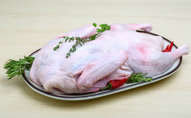 Raw duck