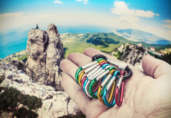 colorful carabiner climbing on a palm