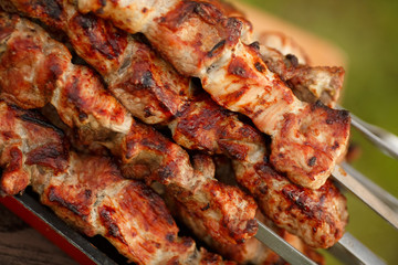 Grilled Barbecue maet pork grill ribs kebabs bbq beef