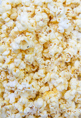 popcorn grains on the white background
