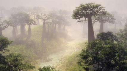 Dawn breaking though mist in a lush valley © ysbrandcosijn