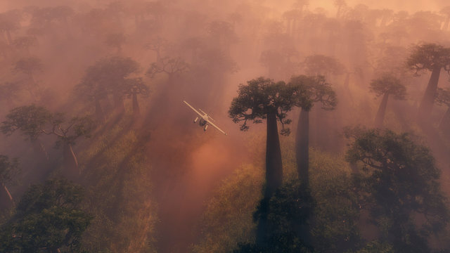 Small float-plane flying through morning fog