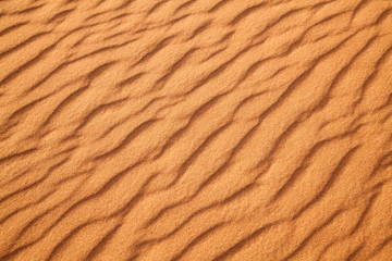 Red sand desert