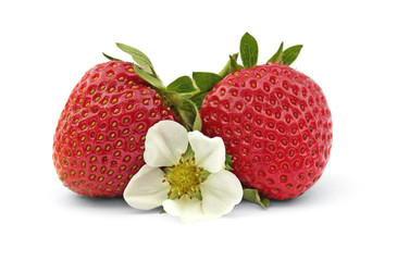 Erdbeeren mit einer Blume