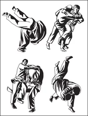 Foto op Plexiglas Vetctor collection of judo for cutting © tiorin