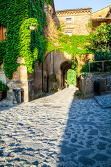 The streets of the old Italian city of Bagnoregio, Lazio