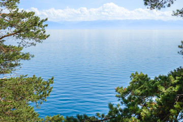 Fototapeta na wymiar Baikal lake through the trees